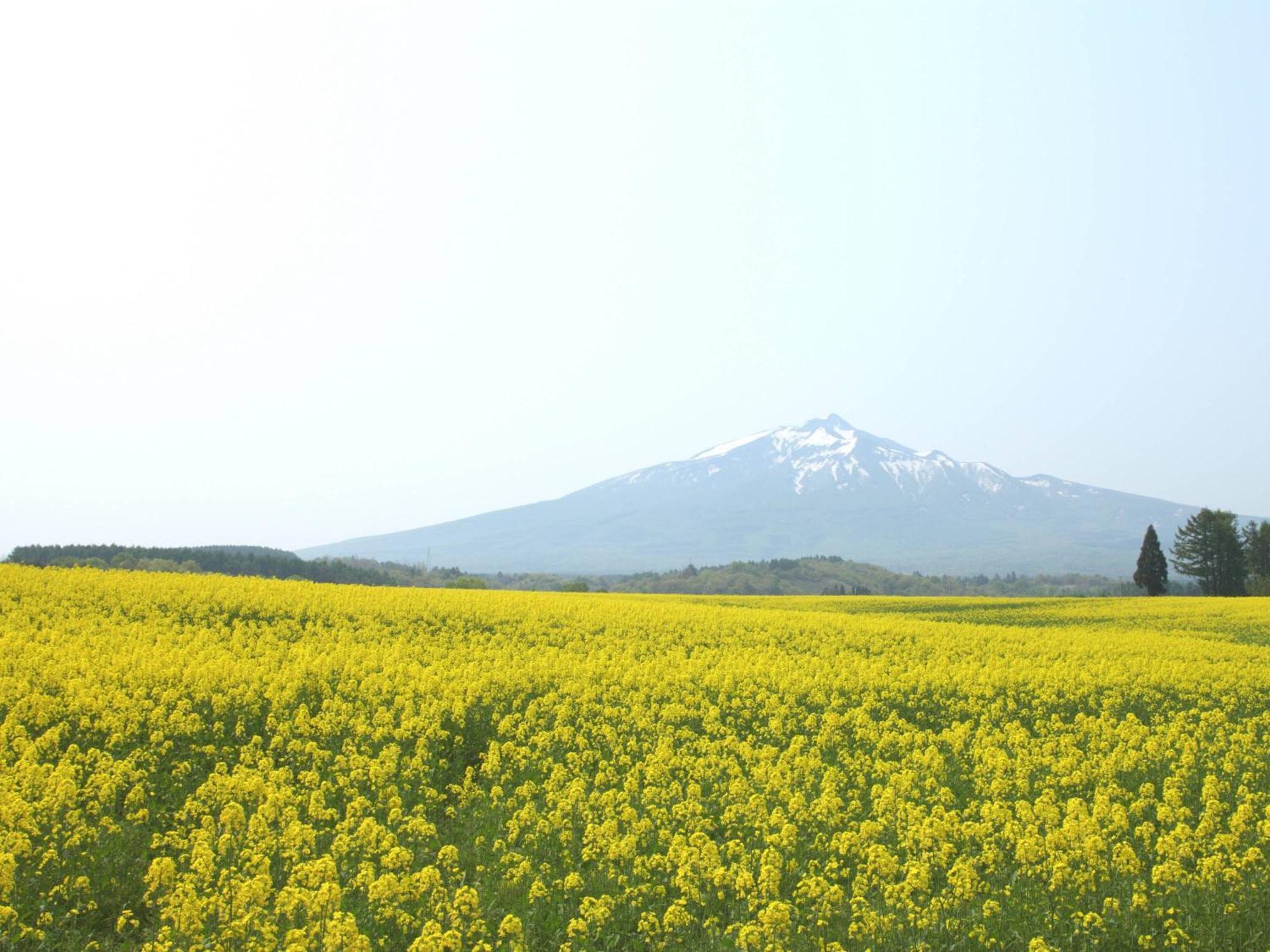 Apa Hotel Aomori Ekihigashi Kültér fotó